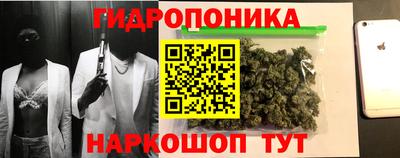 бошки Заводоуковск