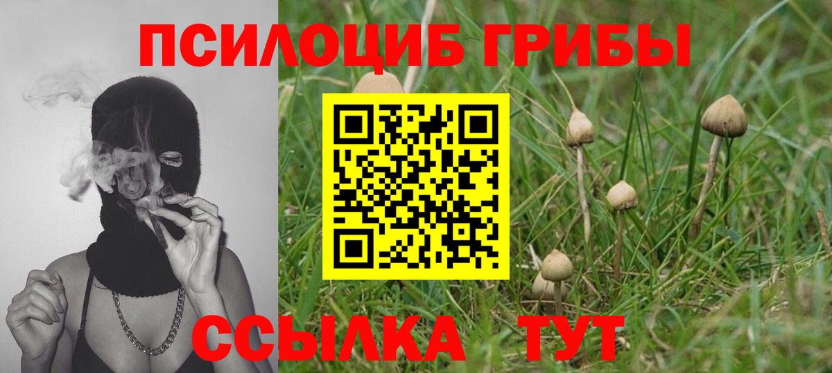 Мелеуз  Галлюциногенные грибы GOLDEN TEACHER  Вход с VPN 